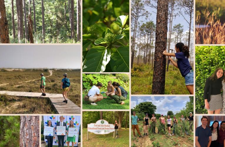 Stanback Fellowship - collage of student images